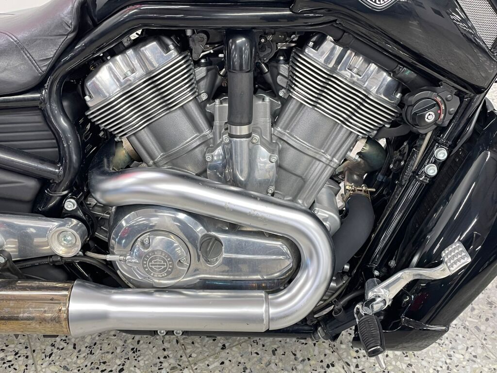 Harley-davidson VRSC 2009 