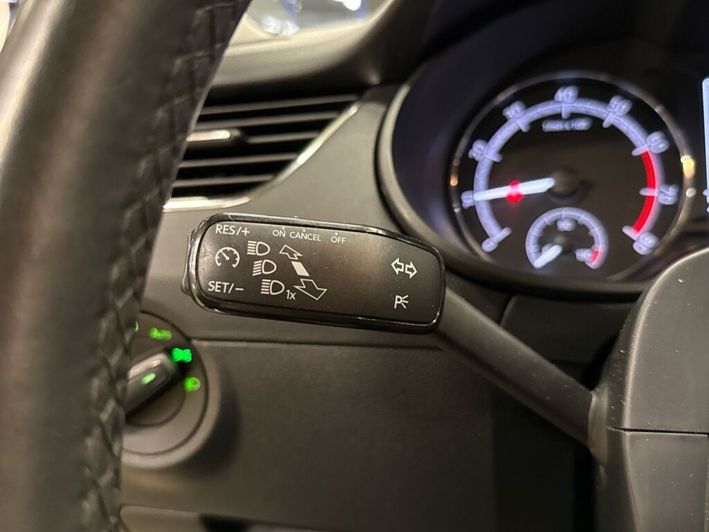 Skoda Octavia 2019 Ruskea (beige)