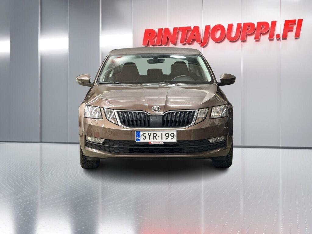 Skoda Octavia 2019 Ruskea (beige)