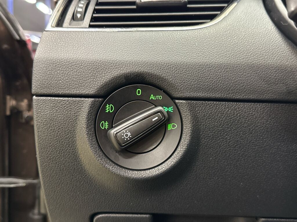 Skoda Octavia 2019 Ruskea (beige)