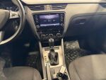 Skoda Octavia 2019 Ruskea (beige)