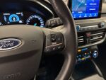 Ford Focus 2019 Punainen
