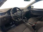Skoda Octavia 2019 Sininen