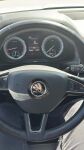 Skoda Kodiaq 2019 Valkoinen