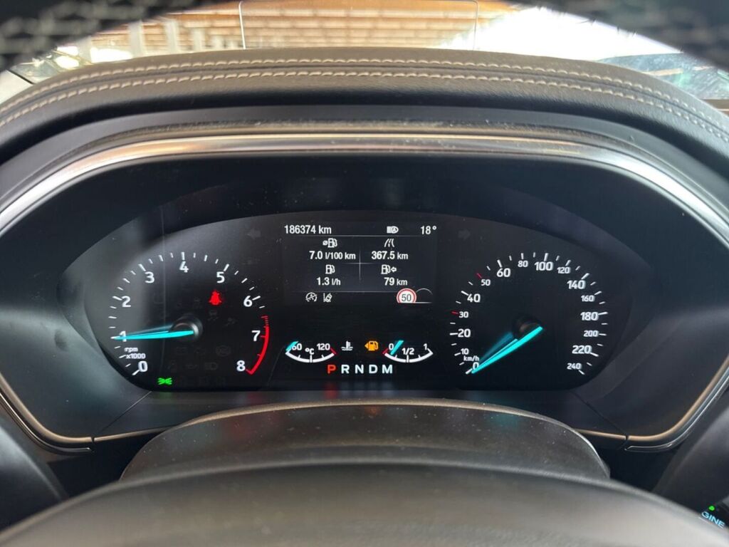 Ford Focus 2019 Valkoinen