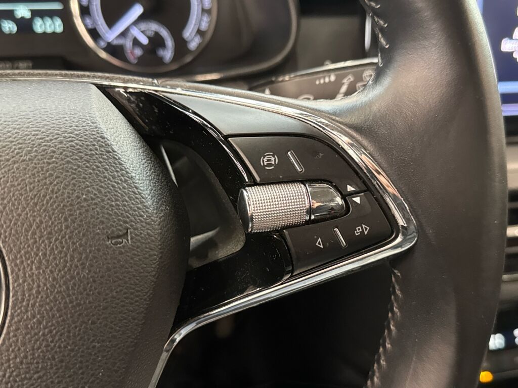 Skoda Kamiq 2021 Sininen