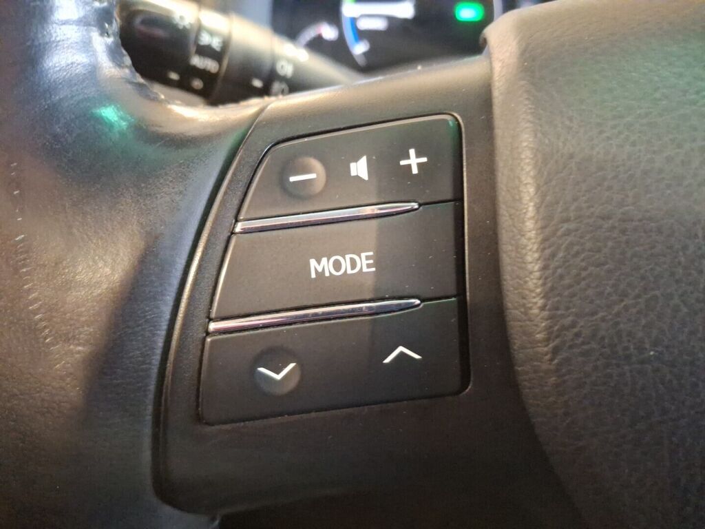 Lexus RX 2010 Punainen