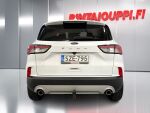 Ford Kuga 2021 Valkoinen