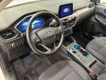 Ford Kuga 2021 Valkoinen