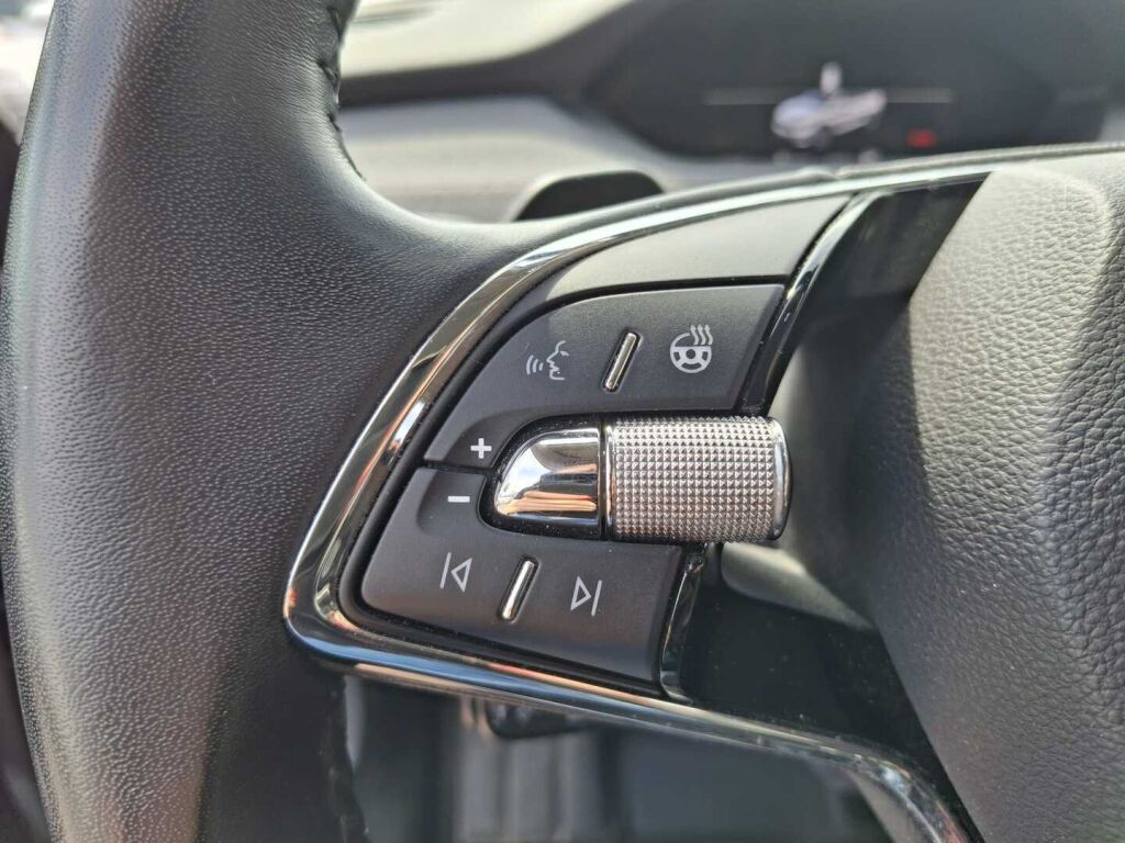 Skoda Enyaq 2022 Harmaa
