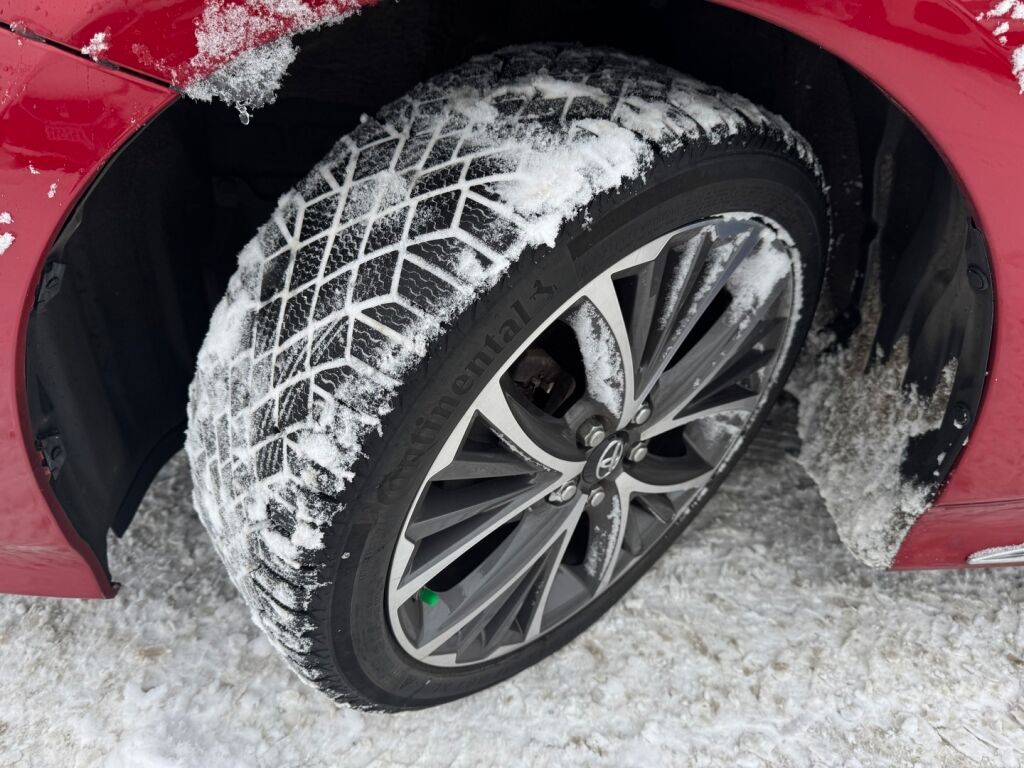 Toyota Prius 2020 Punainen