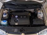 Volkswagen Golf Variant 2002 Ruskea (beige)