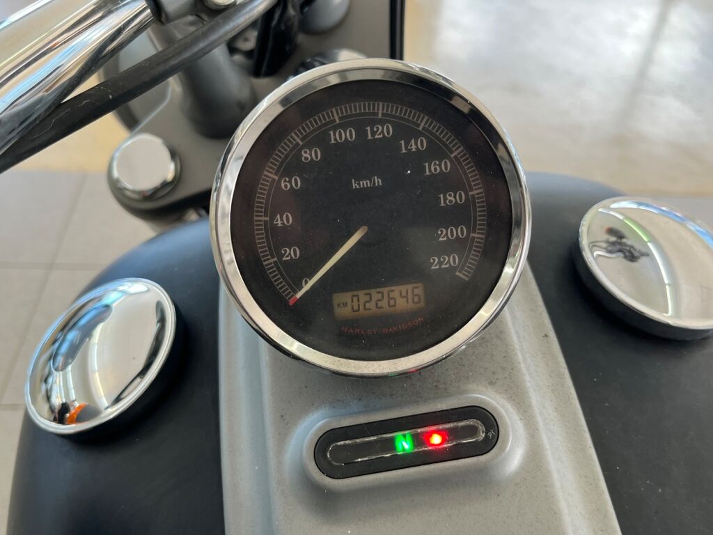 Harley-davidson SOFTAIL 2010 