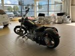 Harley-davidson SOFTAIL 2010 