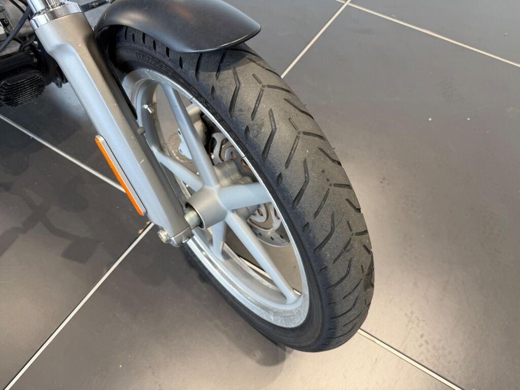 Harley-davidson SOFTAIL 2010 