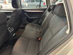 Skoda Octavia 2014 Ruskea (beige)