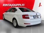 Skoda Octavia 2015 Valkoinen
