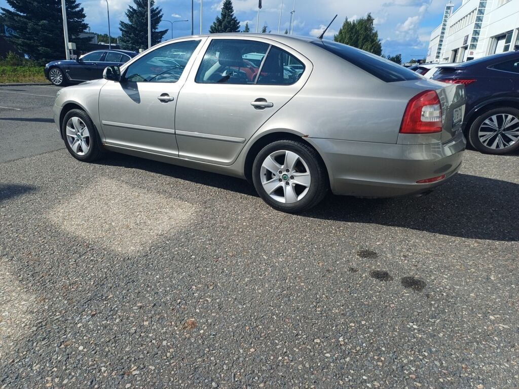 Skoda Octavia 2013 Ruskea (beige)