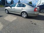 Skoda Octavia 2013 Ruskea (beige)