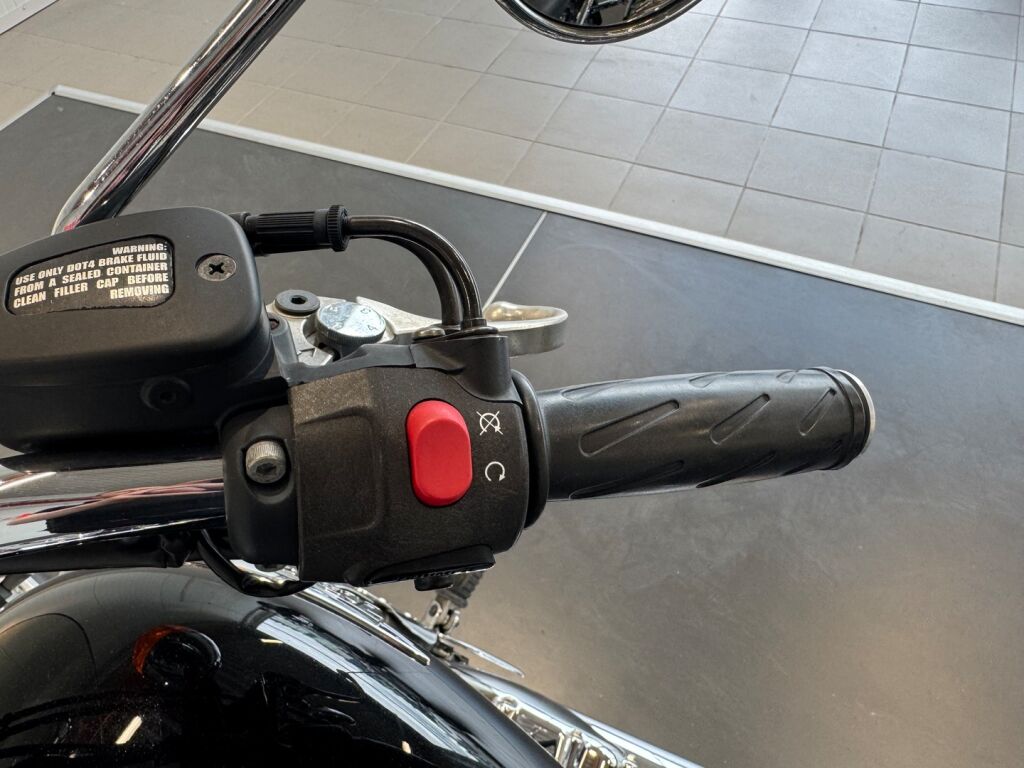 Triumph AMERICA 2009 Musta