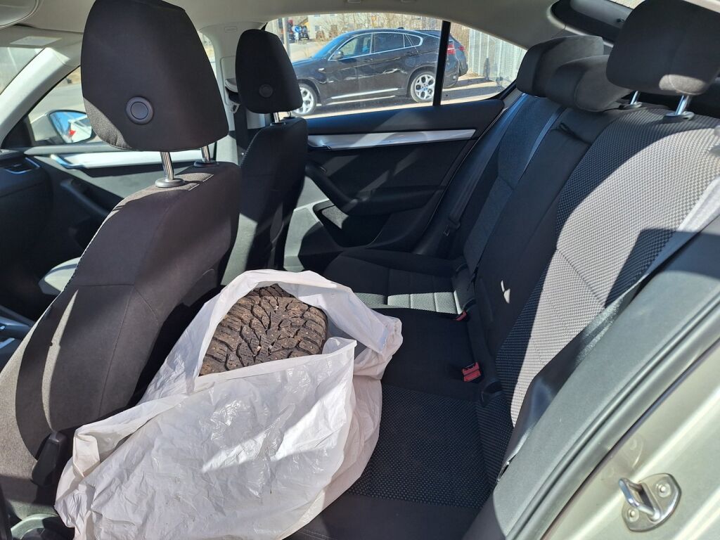 Skoda Octavia 2014 Ruskea (beige)