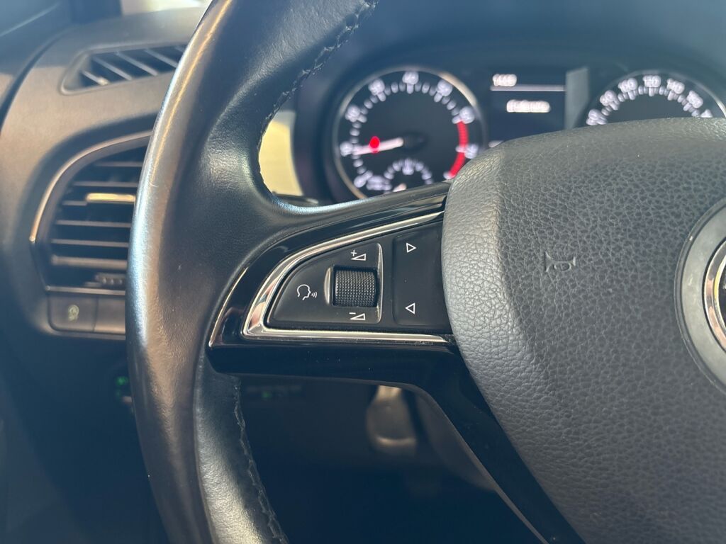 Skoda Fabia 2015 Ruskea (beige)