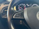 Skoda Fabia 2015 Ruskea (beige)