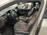 Skoda Octavia 2016 Ruskea (beige)