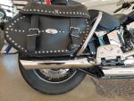 Harley-davidson Softail 2007 