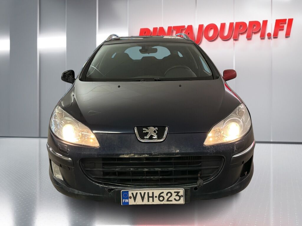Peugeot 407 2010 Sininen