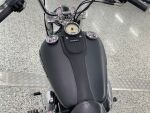 Harley-davidson DYNA 2010 