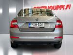 Skoda Octavia 2013 Ruskea (beige)