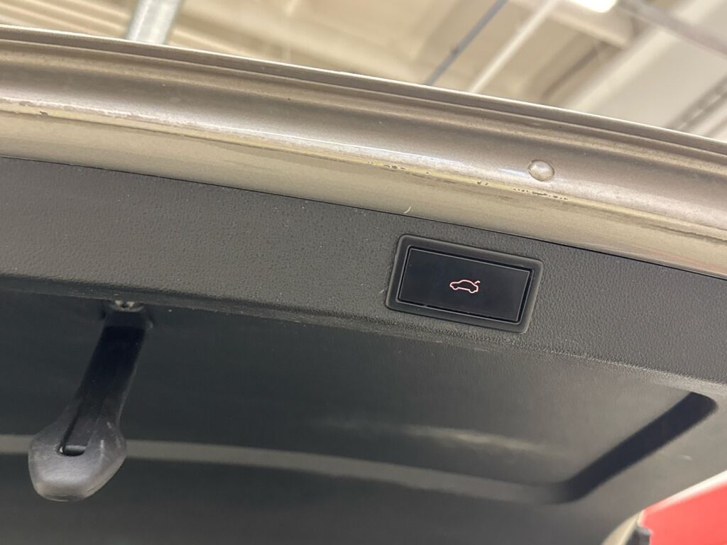 Skoda Octavia 2014 Ruskea (beige)