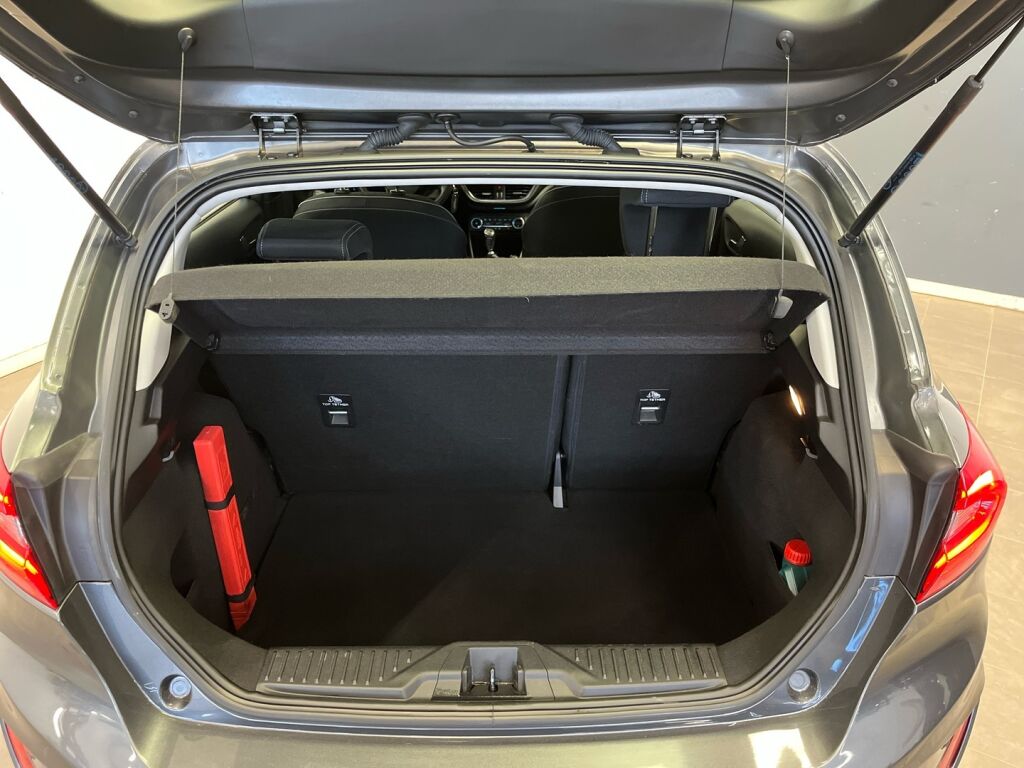 Ford Fiesta 2018 Harmaa