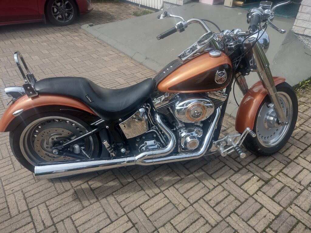 Harley-davidson SOFTAIL 2008 