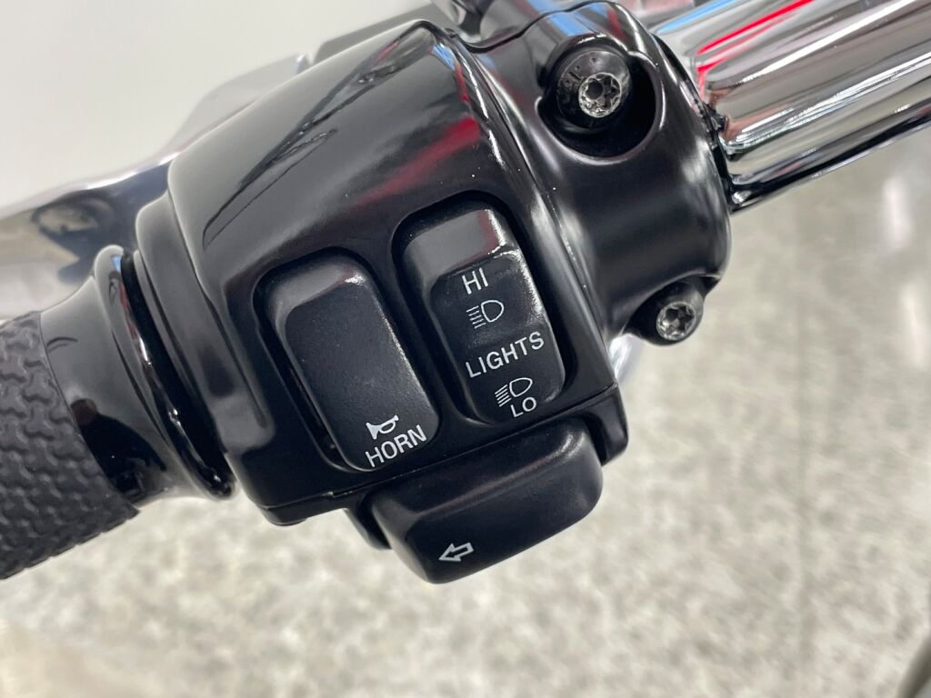 Harley-davidson SOFTAIL 2006 