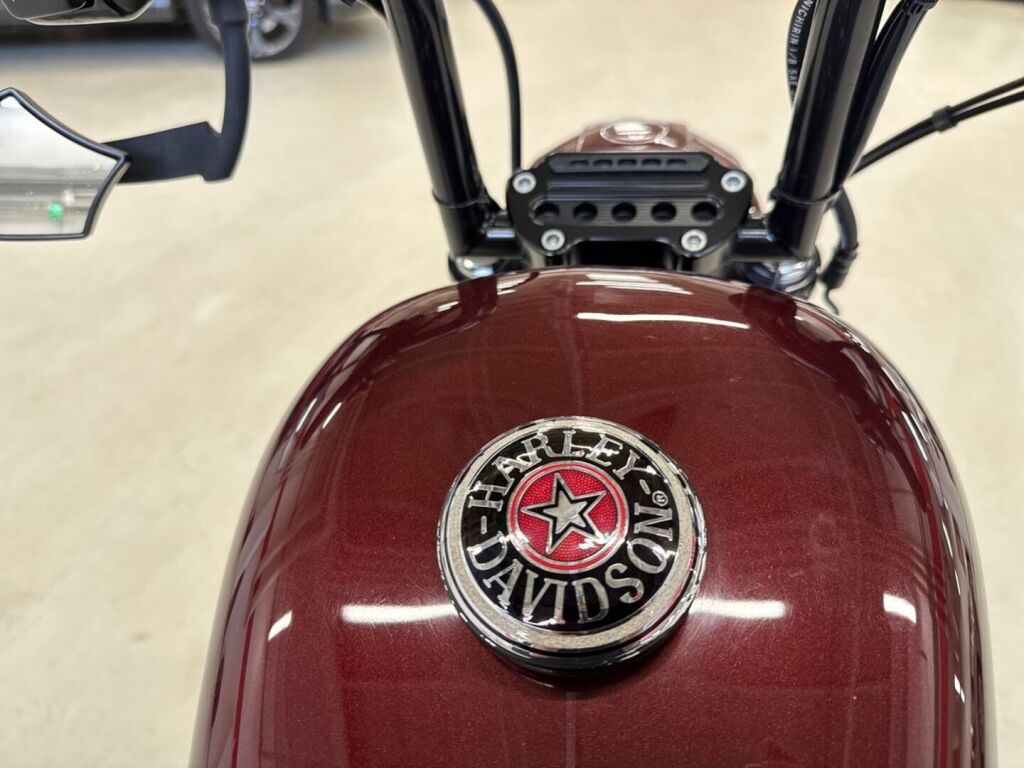 Harley-davidson SPORTSTER 2008 