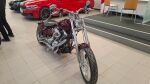 Harley-davidson SOFTAIL 2008 