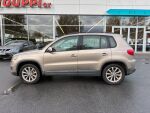 Volkswagen Tiguan 2011 Ruskea (beige)