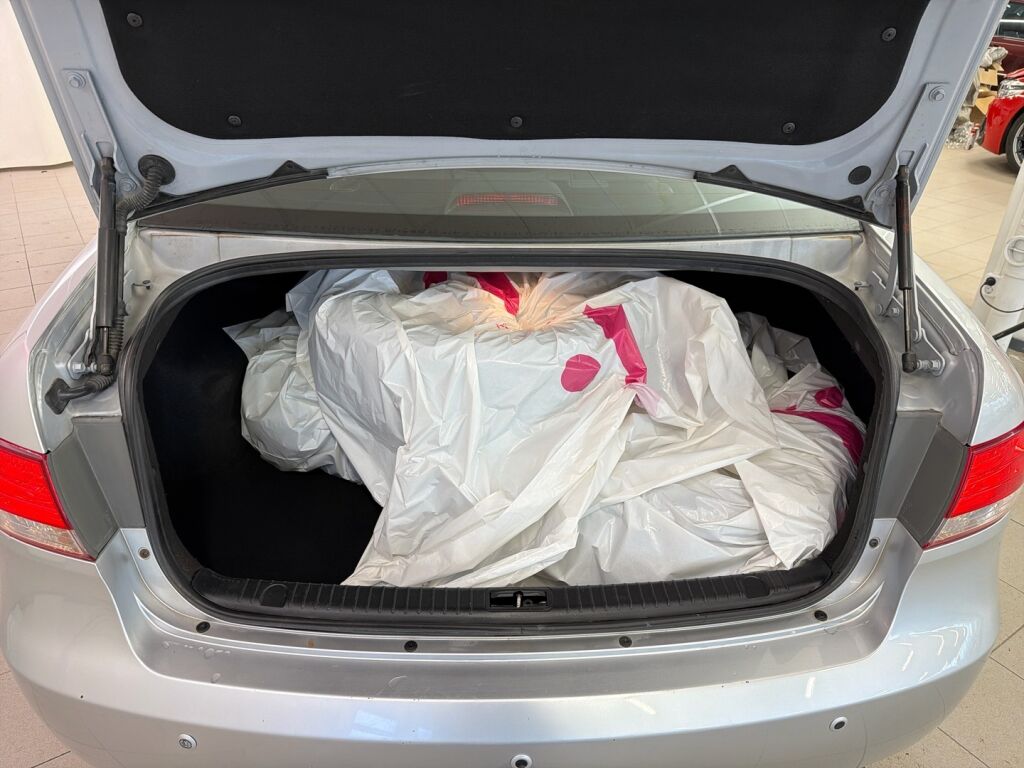 Hyundai Sonata 2009 Hopea