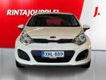 Kia Rio 2015 Valkoinen