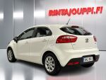 Kia Rio 2015 Valkoinen