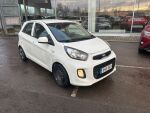 Kia Picanto 2015 Valkoinen