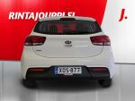 Kia Rio 2018 Valkoinen