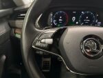 Skoda Octavia 2021 Sininen