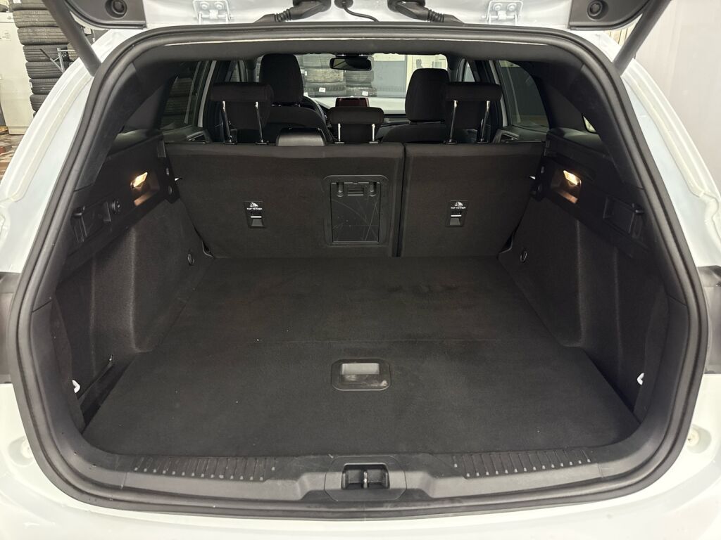 Ford Focus 2021 Valkoinen