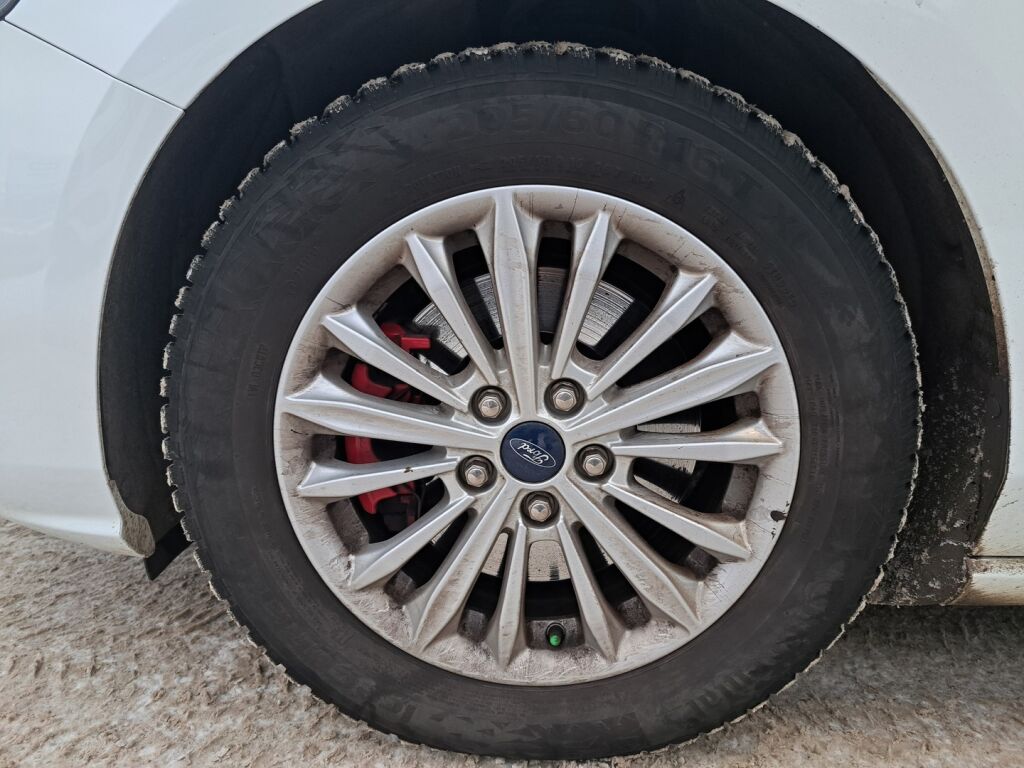 Ford Focus 2021 Valkoinen