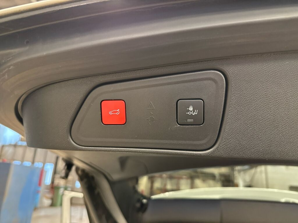 Peugeot 3008 2022 Valkoinen