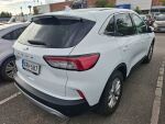 Ford Kuga 2020 Valkoinen