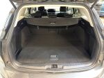 Ford Focus 2023 Harmaa